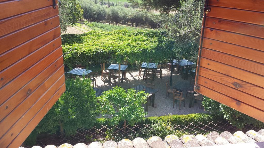 Agriturismo Col Morino Bed & Breakfast Pineto Oda fotoğraf