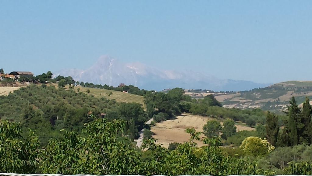 Agriturismo Col Morino Bed & Breakfast Pineto Oda fotoğraf